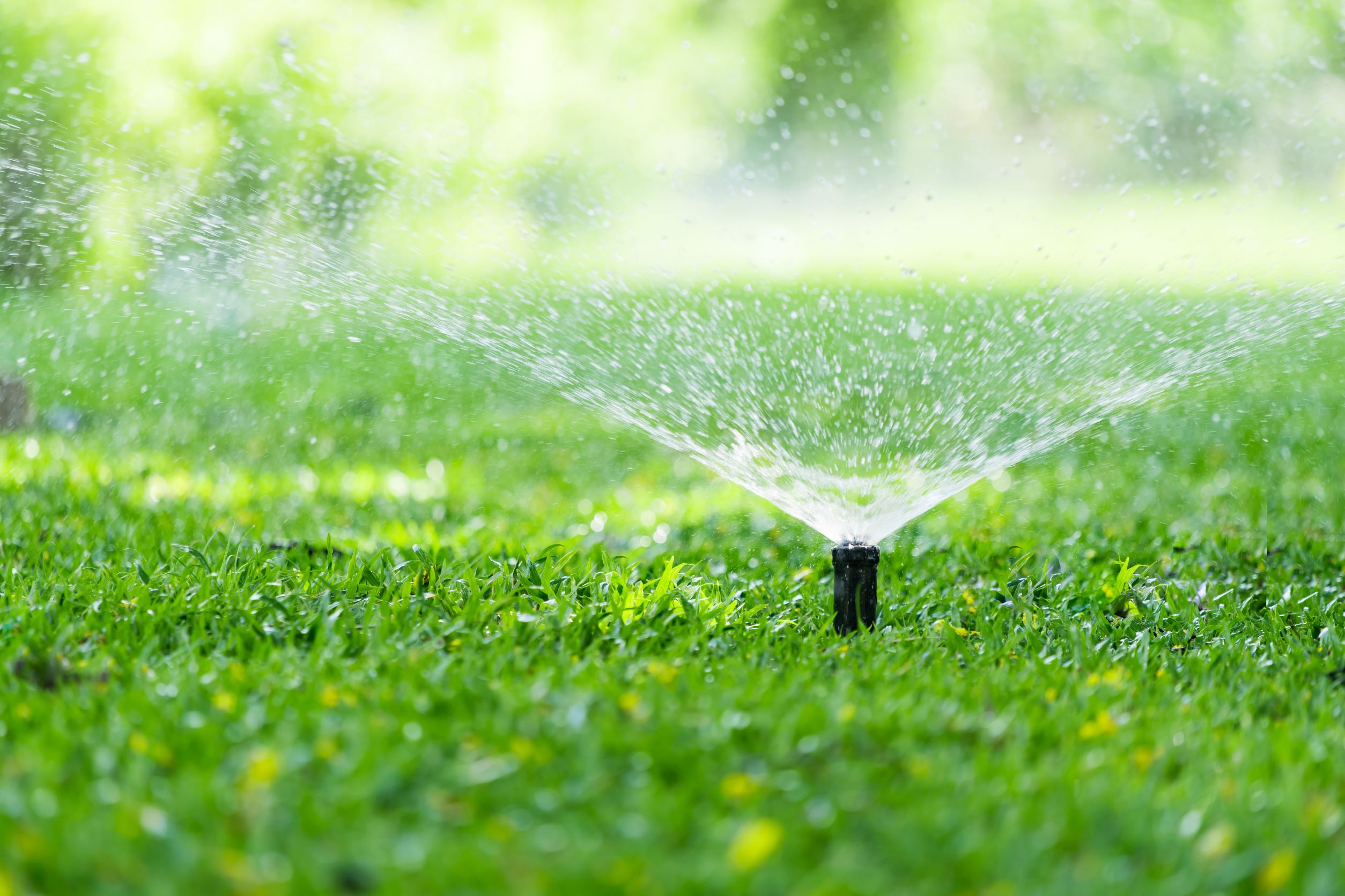 Tachus Blog How To Protect Your Sprinkler System During Construction